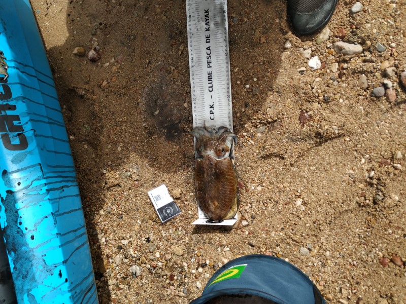 Fish Measure Picture